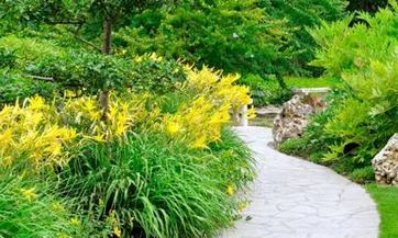 男方接亲需要有哪些陪同人员，为什么惯有姑娘接新娘的习俗？