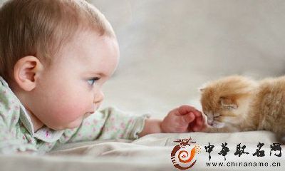 收集男孩美好成语，给你的宝贝起个有意义的名字！
