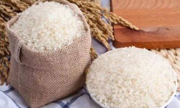 门前一棵银杏树代表着什么意义？在院子里种银杏树有什么特别的文化含义？