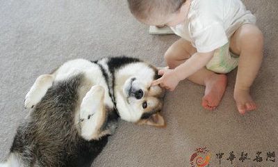 鉴于五行理论，缺乏金属性的男孩名字选择困难？别担心，这里有200个属于金元素的男孩名字推荐！