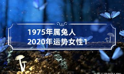 从属兔女性角度看，1975年出生的女性在2020年度的整体运势预测