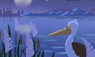 愿得一人心，这几对生肖cp在白发苍苍时仍紧紧相拥不分离