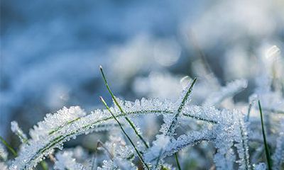 天河水命和佛灯火命相克吗？天河水命的人适合养鱼吗？