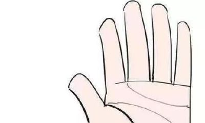 为什么有的人生命线会分叉