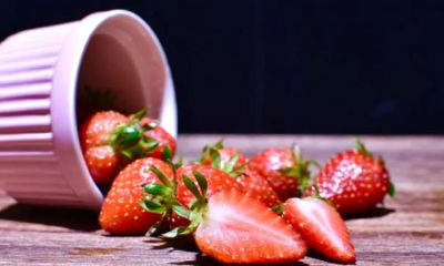 “对感情很专一”的三大生肖，对妻子非常好，家庭和睦又幸福