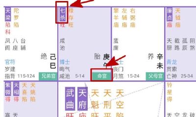 什么八字的容易姐弟恋