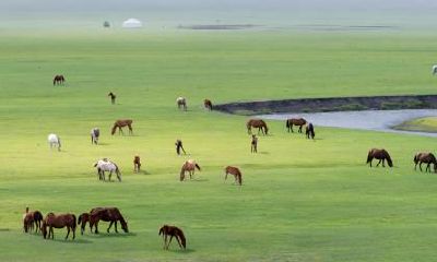 78年属马财运哪一年最好？78年属马人发财年份