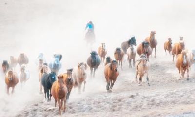 属马人适合佩戴什么样的玉吊坠？属马人发财方位在哪？