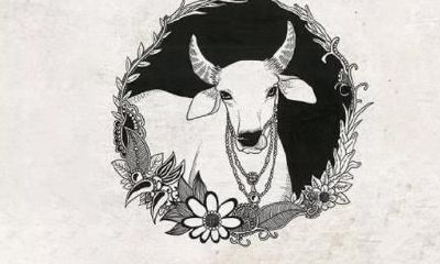 一生无忧，富足安康，这些生肖真是好有福