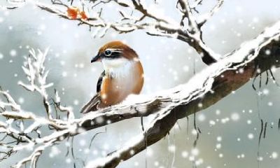 大雪下一个节气是什么？大雪节气吃什么？