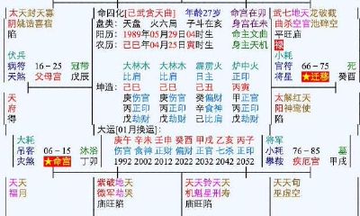 嫁入豪门的紫薇命盘