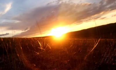 谈感情容易不长久的紫薇命盘