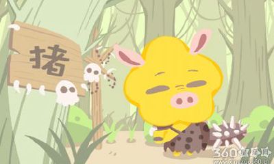 分析属猪和属龙的婚姻怎么样