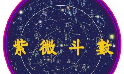 紫微斗数看你是否守财奴