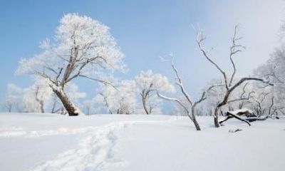 2022年大雪节气会下大雪吗？大雪节气下雪好不好？