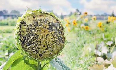 2022年农历十月初一是黄道吉日吗？当天吉时查询