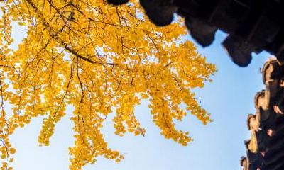 2022年秋分在几点几分几秒交节？秋分有啥传统习俗