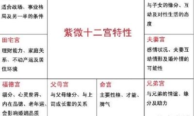 紫微斗数中的化禄是什么意思？