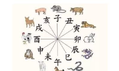 羊入虎口、鸡犬不宁……一家人生肖相爱相杀怎么办？