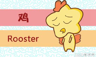 鸡和狗为什么是上婚 可以结婚吗