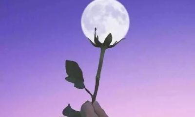 心理测试：你到底有多跟自己过不去？