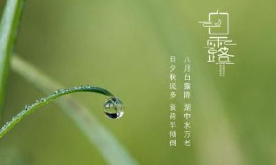 白露五行属什么？2022年白露出生的五行缺什么