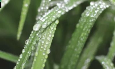 七杀，其实没有那么可怕