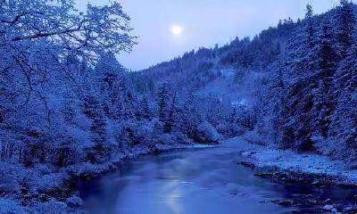 属牛人2019年运势好吗，事业运怎么样