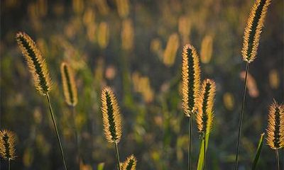 2022年农历十月十四日立冬这一天是不是黄历吉日