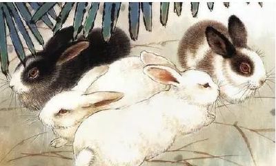 逢喜事精神爽，10月下旬喜迎上上签的3生肖，开启新征程