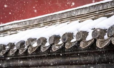 属龙人在小雪节气出生的好吗？是好命吗