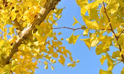 2022年农历十月十六这一天诸事皆宜吗？什么是吉日