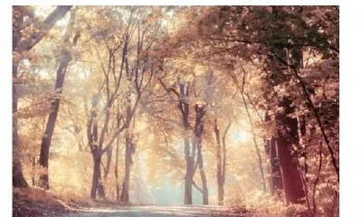 事业财运八字看贵人运 贵人运旺的八字