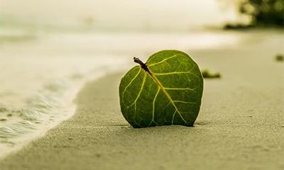 2022年农历十月十七是吉利日子吗？四大凶日是什么日子