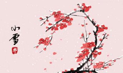 属鸡宝宝在小雪出生怎么样？命运如何