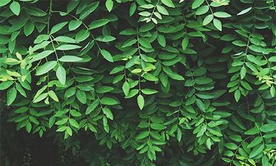 2022年农历八月出生的人是什么命？五行缺什么？