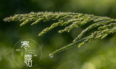 2022寒露节气适合结婚办喜事吗？2022年寒露吉时查询