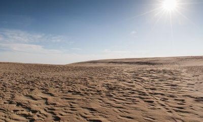 2019年属牛结婚吉日有哪些