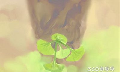 泓翔老师2017年3月属牛感情运势