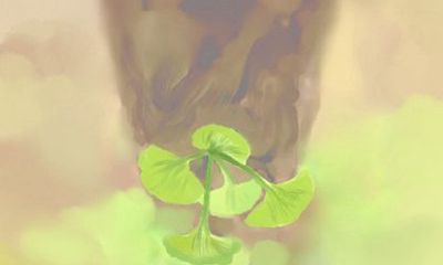 生肖男羊女狗属相相配吗 适合吗？