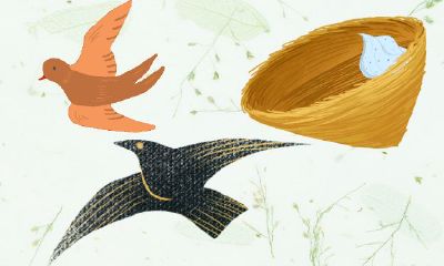 2023正月的兔的女命