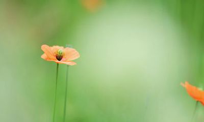 2023年结婚的生肖女 桃花旺盛 感情和睦