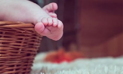 处暑节气出生的虎宝宝命运如何？2022年处暑出生宝宝性格分析