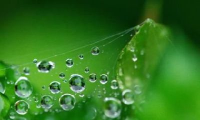 白露出生的鼠宝宝命好吗？一生运势运程如何