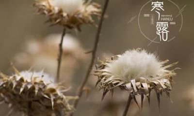 2022年寒露出生五行属什么？五行缺什么