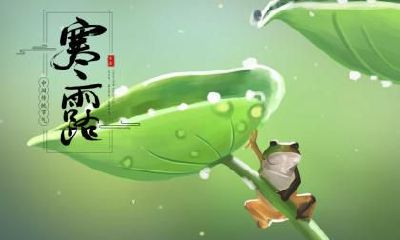 2022年寒露运势最好的生肖排行榜分析