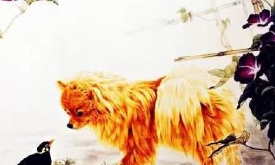 对老公情深意浓的3生肖女，无论穷、富，都一辈子不离不弃