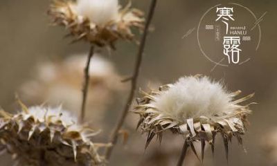 关于寒露的诗句，古代人在寒露做什么