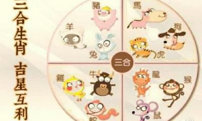 生肖运程:属鸡人的逐月运势