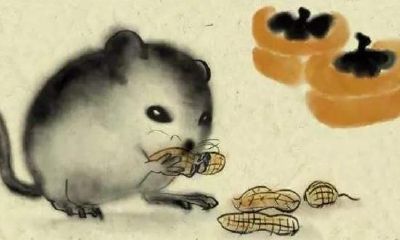 老鼠为什么排在十二生肖的第一位？